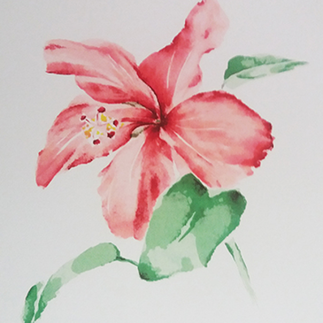 Hélène Breebaart1